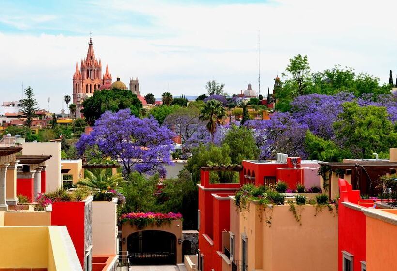 اتاق استاندارد, Rosewood San Miguel De Allende