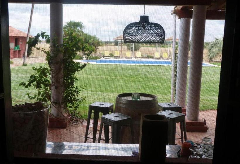 اتاق استاندارد, Quinta Dos Doze Sobreiros   Quarto Sol