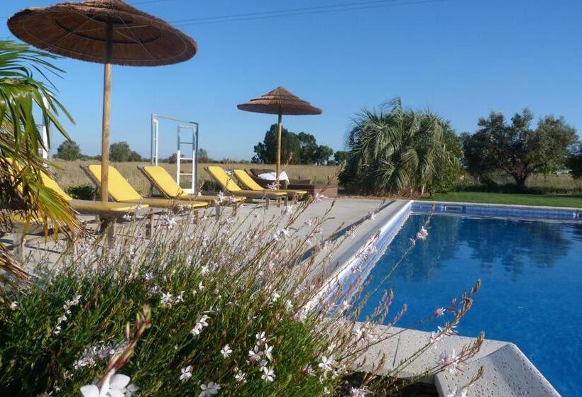 اتاق استاندارد, Quinta Dos Doze Sobreiros   Quarto Sol