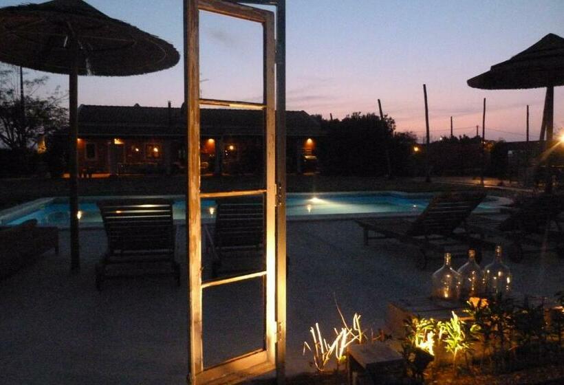 اتاق استاندارد, Quinta Dos Doze Sobreiros   Quarto Sol