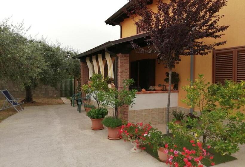 اتاق استاندارد, La Casetta