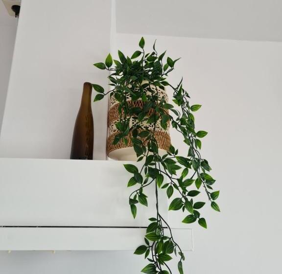 Quarto Estandar, Evy S Place