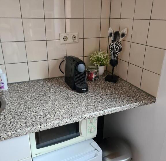 Quarto Estandar, Evy S Place