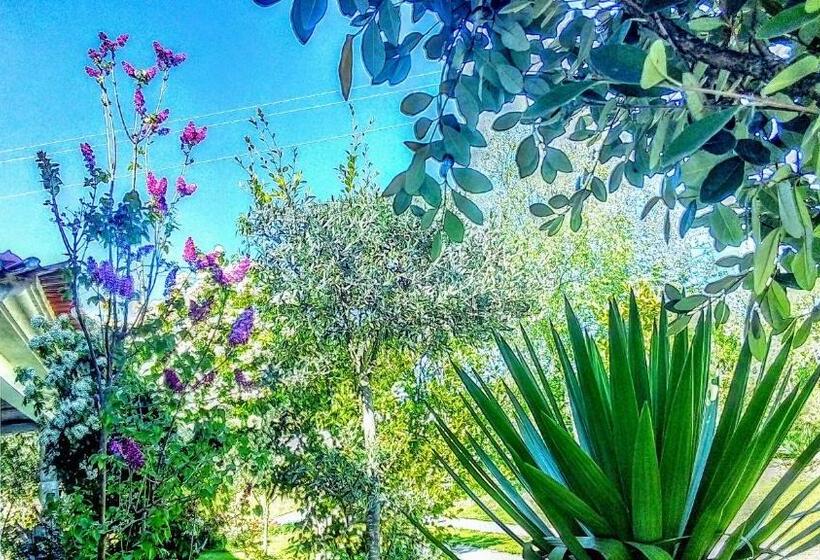 스탠다드 룸, Casa Vale Do Rio Ovil