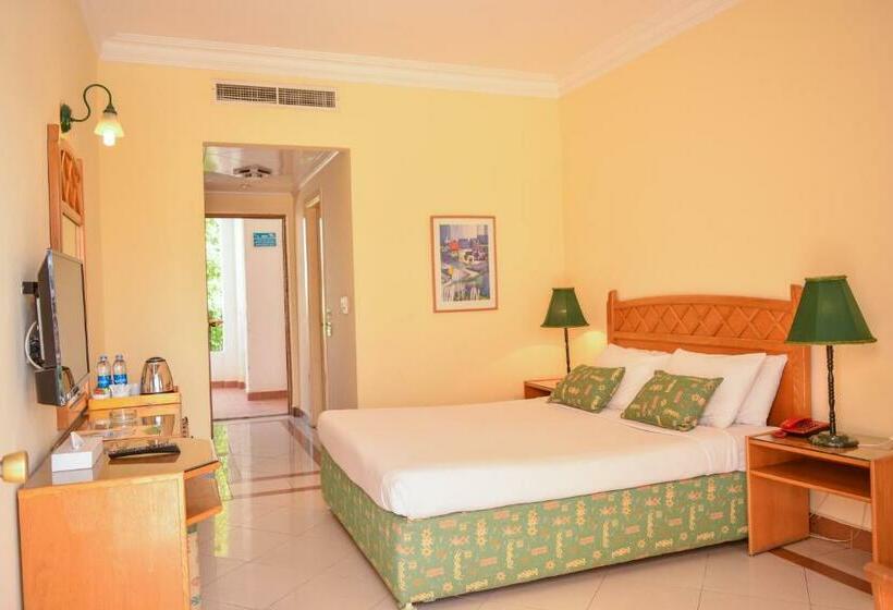 Chambre Standard, Dive Inn Resort