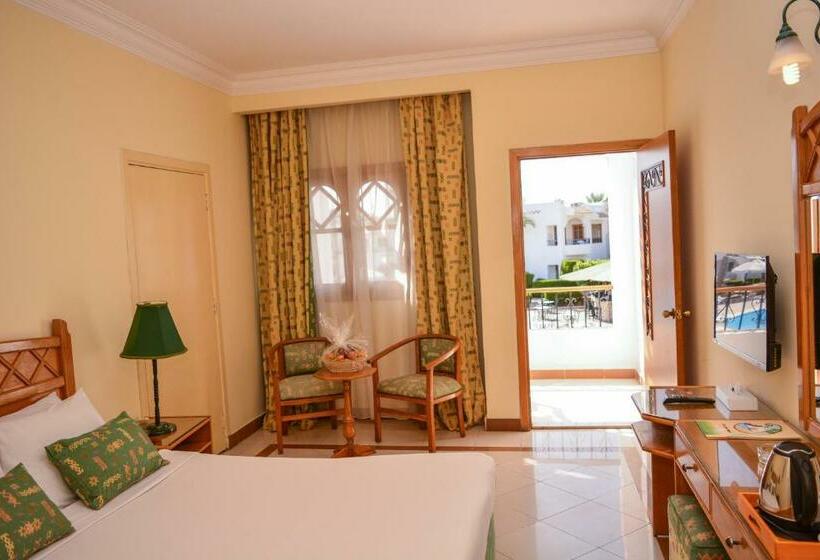 Chambre Standard, Dive Inn Resort