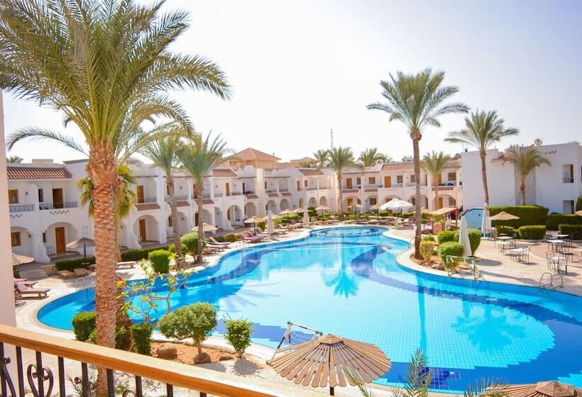 Standard Szoba, Dive Inn Resort