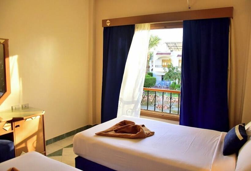 Economy Szoba, Dive Inn Resort