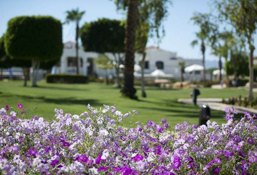 اتاق استاندارد با چشم‌انداز باغ, Amphoras Beach   Ultra All Inclusive