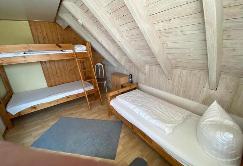 Апартаменты 1 Спальня, Aparthotel  Zur Müritz