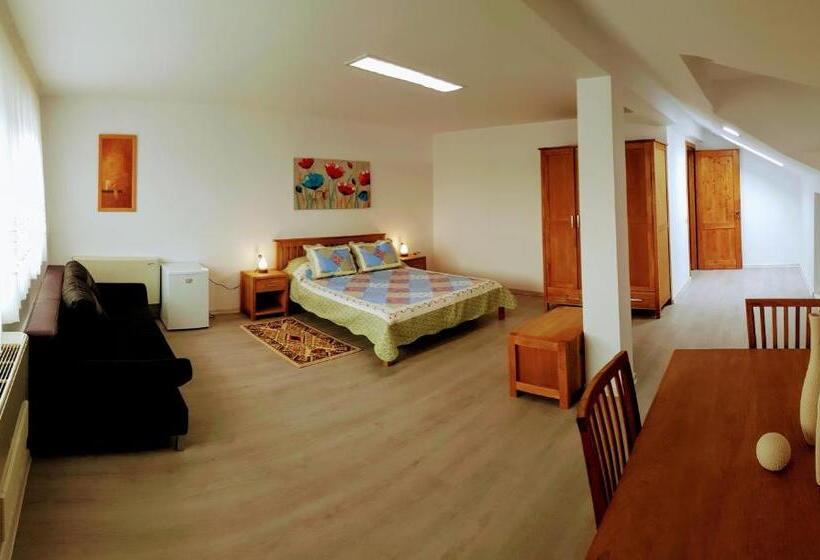 Номер Deluxe, Villa Sanitas