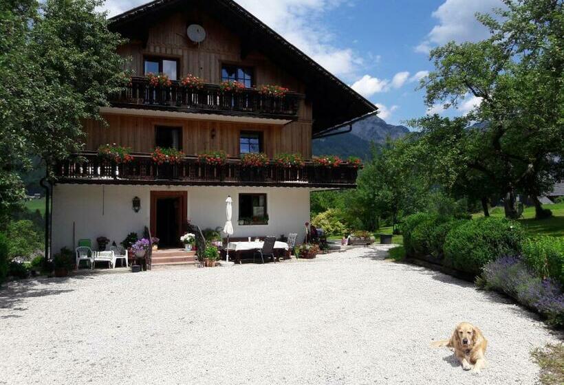 Апартаменты 1 Спальня с Видом, Haus Galler   Urlaub Am Bauernhof