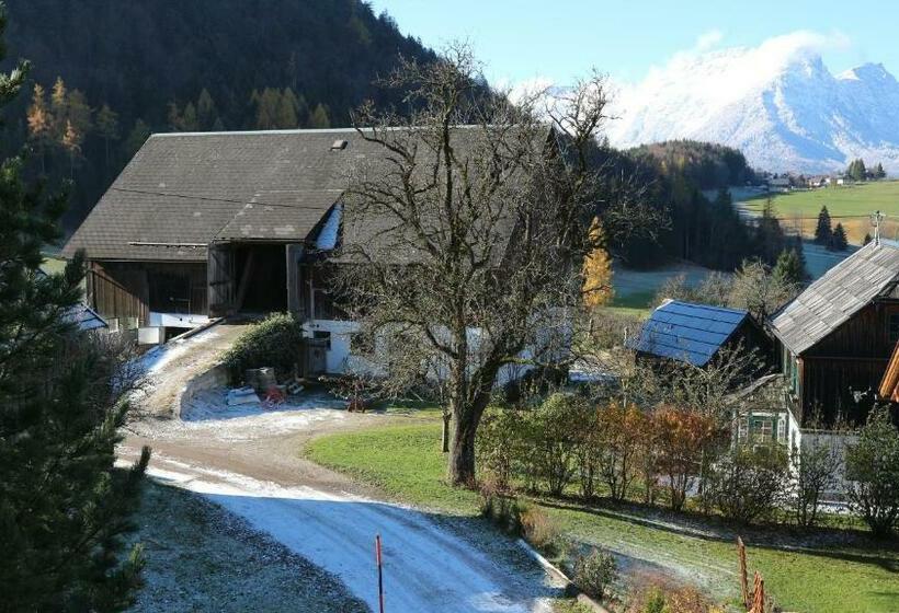 Апартаменты 1 Спальня с Видом, Haus Galler   Urlaub Am Bauernhof