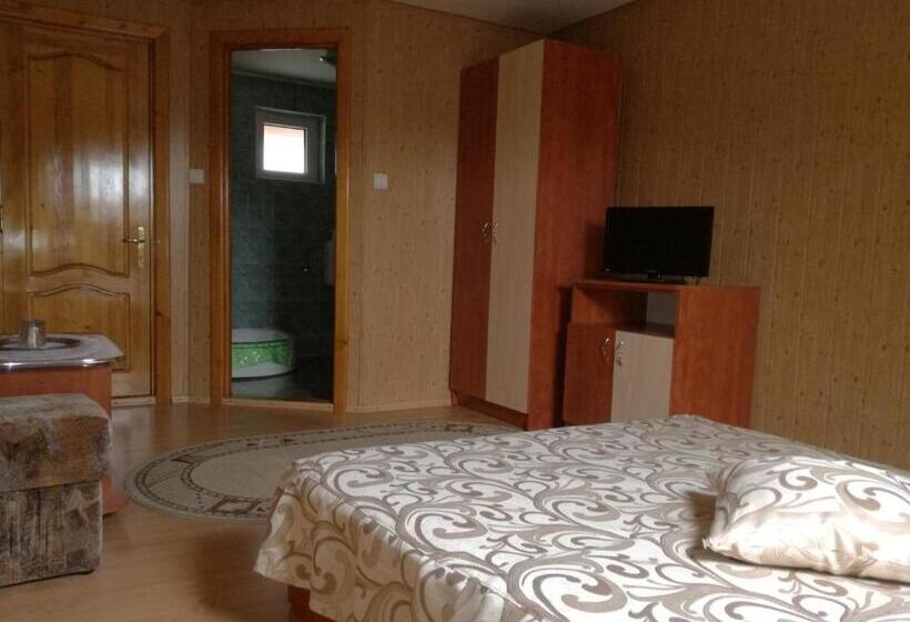 Номер Стандарт, Vila Nely