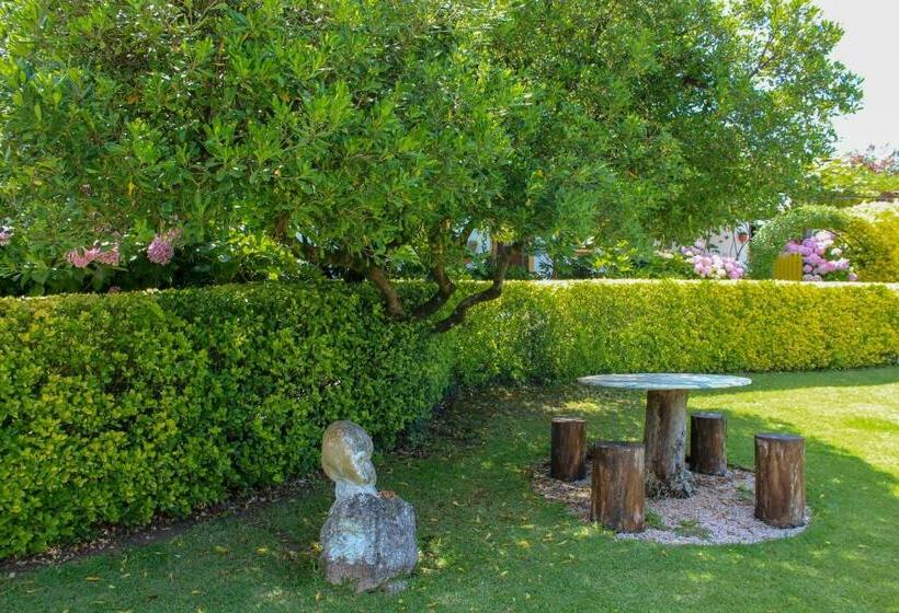 اتاق استاندارد, Quinta De Vale Escuro