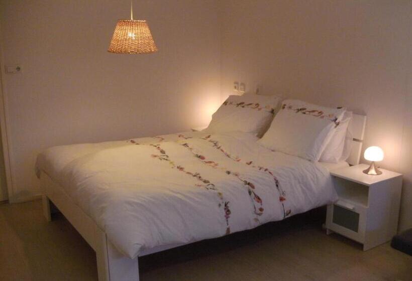 Quarto Estandar, 7even