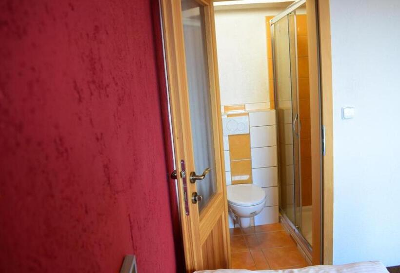 Номер Стандарт Вид на Горы, Guest House Pod Rozhlednou