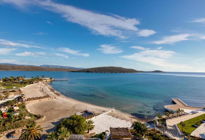 اتاق سوپریور با چشم‌انداز دریا, Design Plus Seya Beach