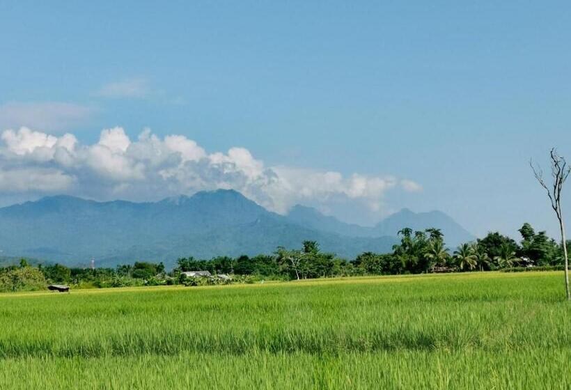Дом 1 Спальня, Ban Din Resort Chiang Rai