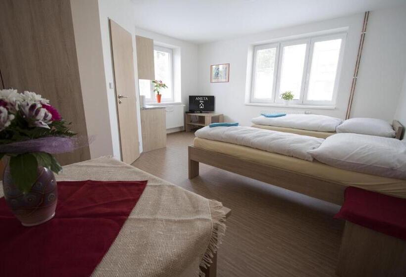 اتاق استاندارد, Vila Aneta