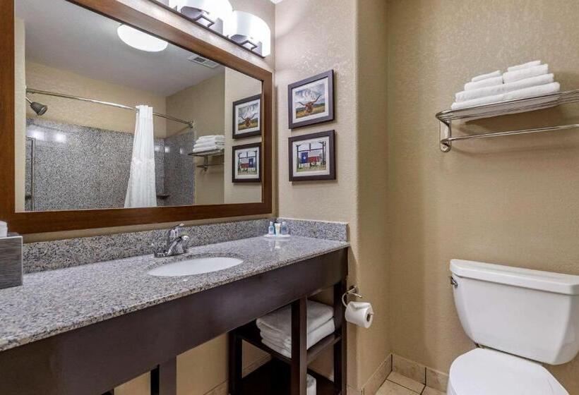 스위트, Comfort Suites