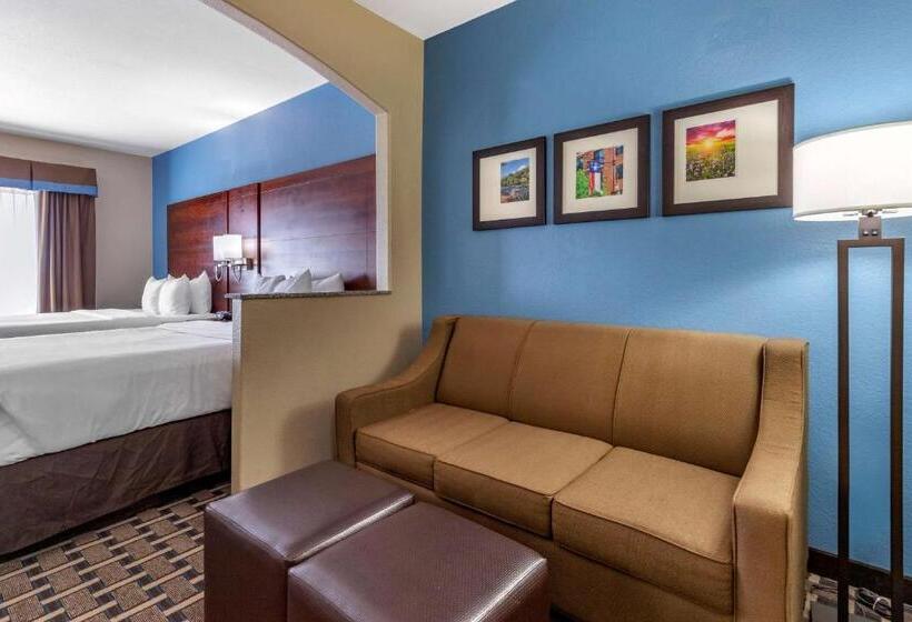 장애인을 위한 스위트, Comfort Suites