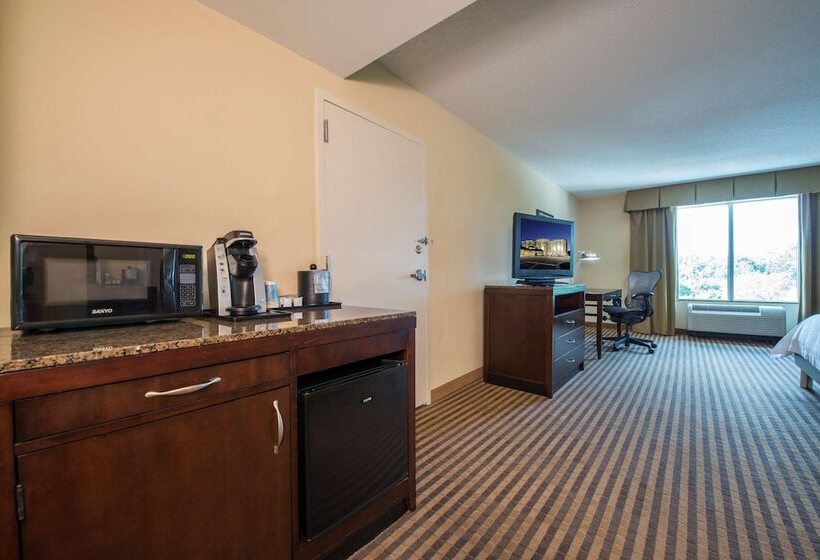 身障者適用スタンダードルーム, Hilton Garden Inn Atlanta Airport North