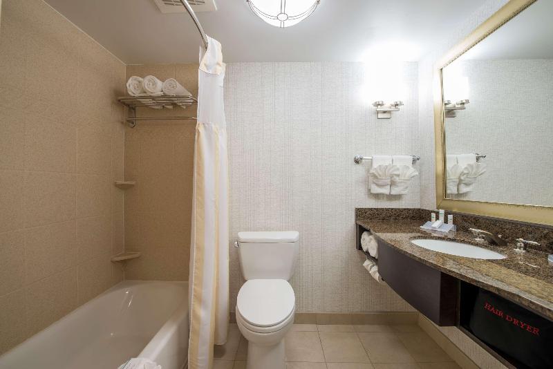 キングサイズベッドのスタンダードルーム, Hilton Garden Inn Atlanta Airport North