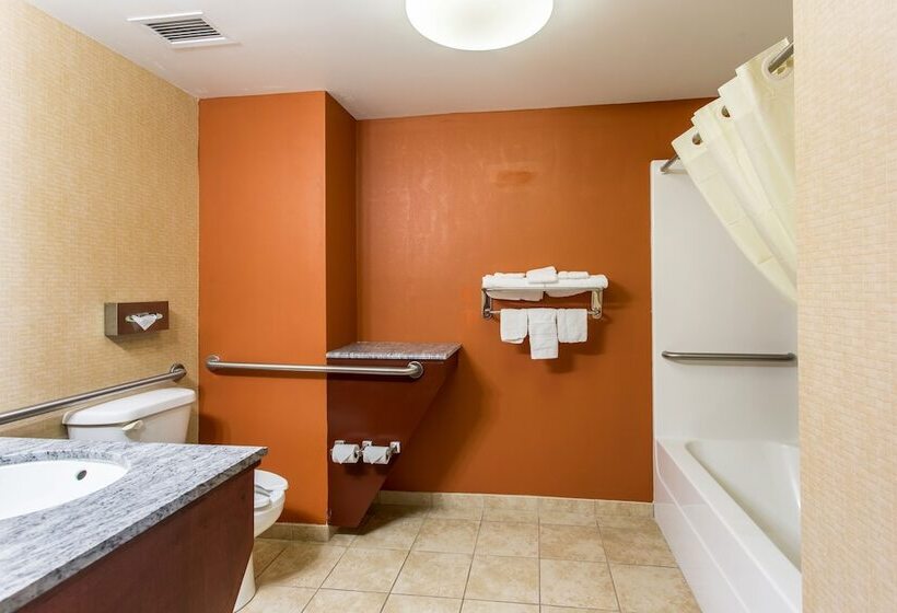 Люкс Адаптированный для Инвалидов, Sleep Inn & Suites Dyersburg I155