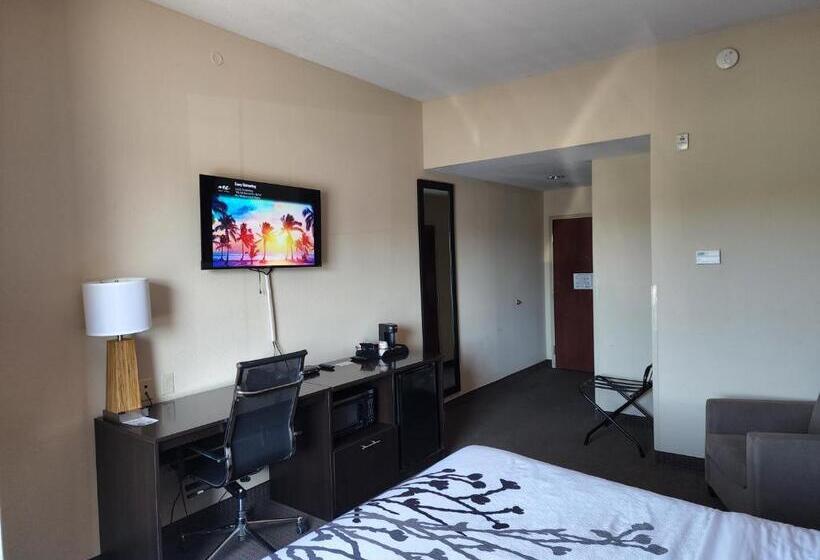 Стандартный Номер Кровать Кинг, Sleep Inn & Suites Dyersburg I155