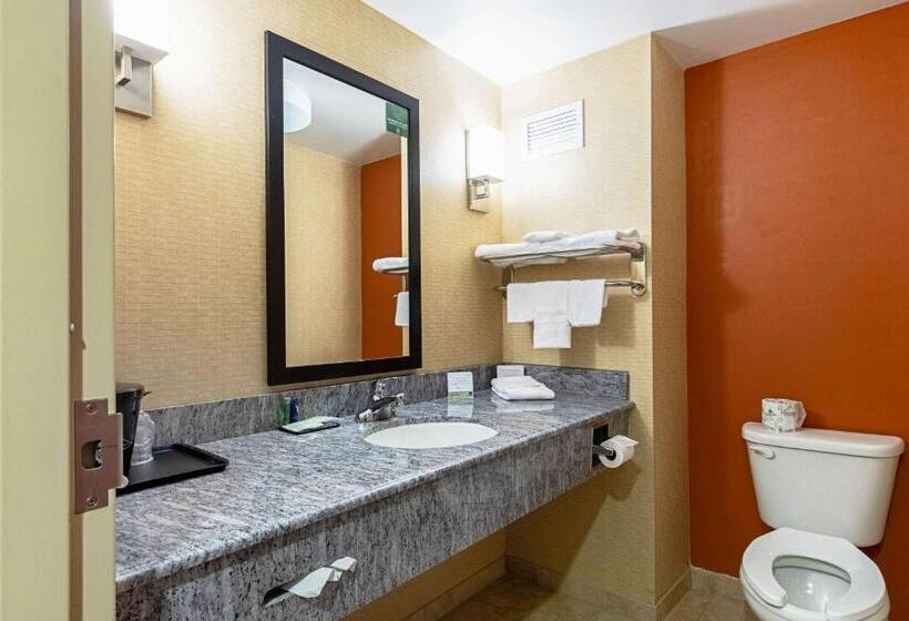 Номер Стандарт, Sleep Inn & Suites Dyersburg I155
