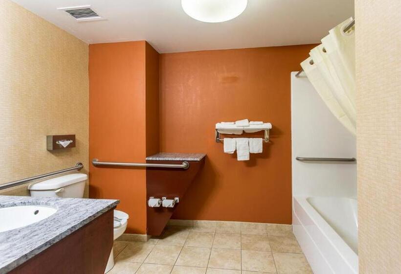 Номер Стандарт Кровать Кинг Адаптированный для Инвалидов, Sleep Inn & Suites Dyersburg I155