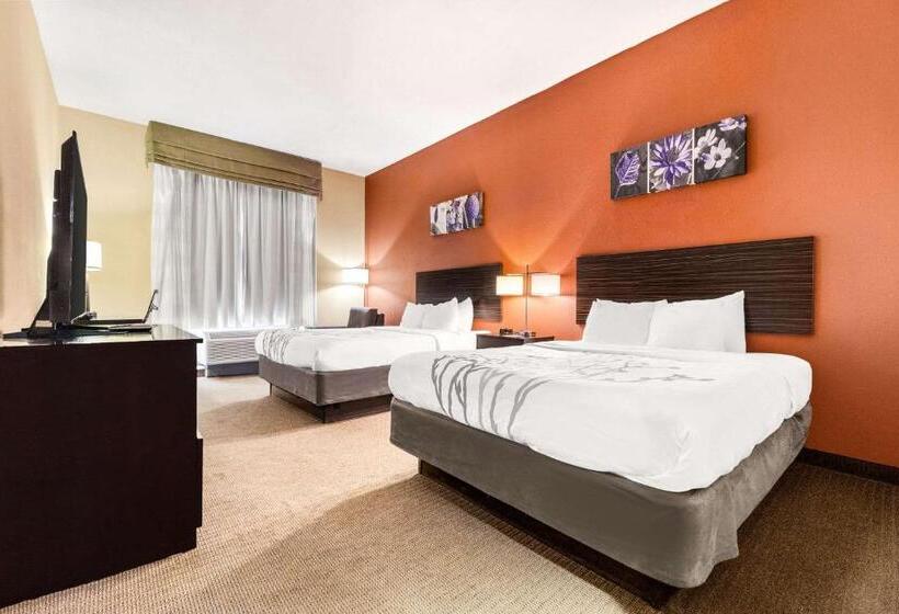 Номер Стандарт, Sleep Inn & Suites Dyersburg I155