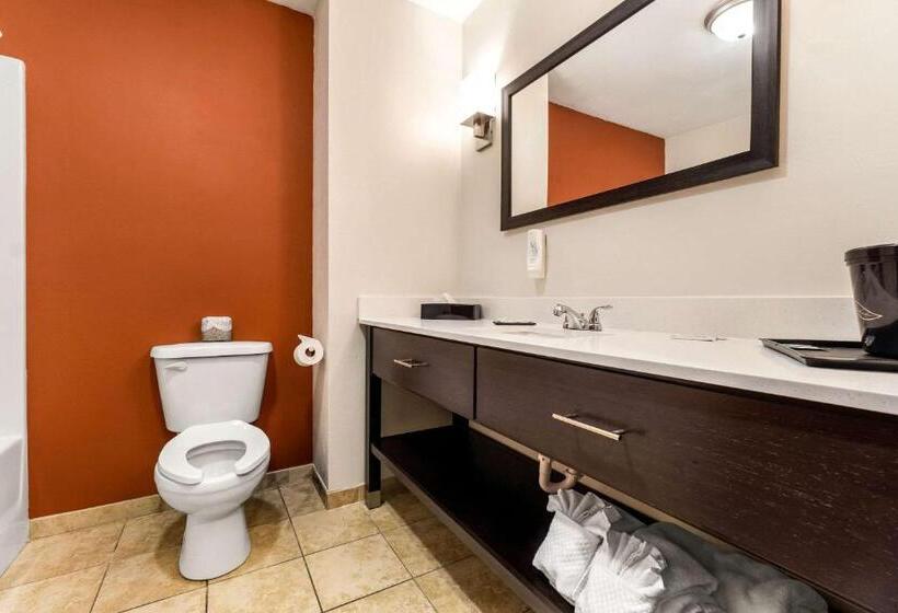 Люкс Кровать Кинг, Sleep Inn & Suites Dyersburg I155