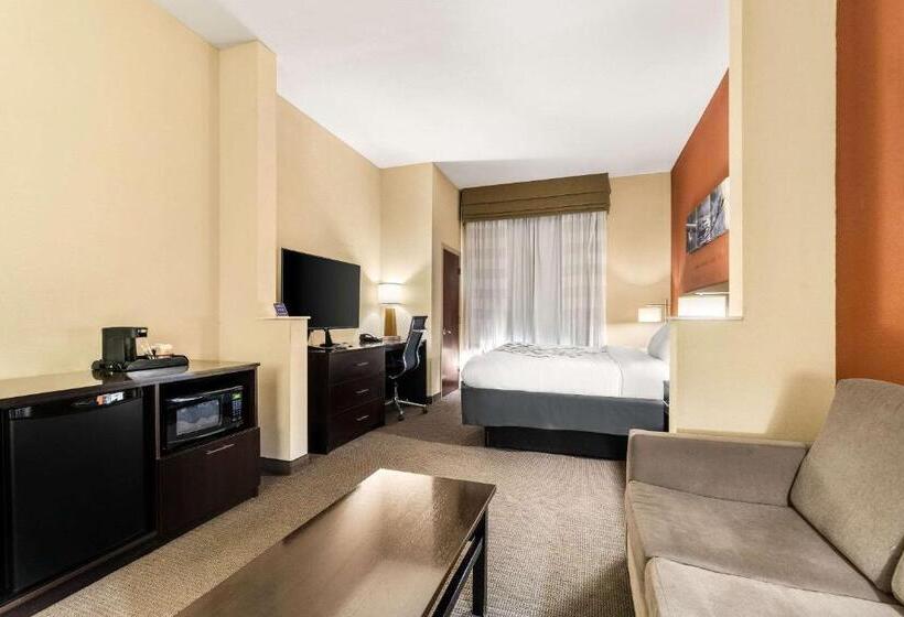 Люкс Кровать Кинг, Sleep Inn & Suites Dyersburg I155