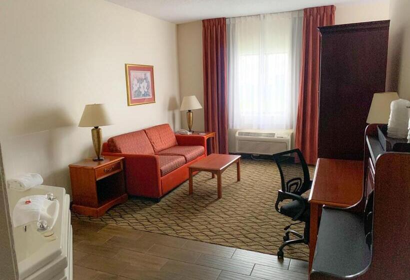 Студия Стандарт, Baymont By Wyndham Chelsea