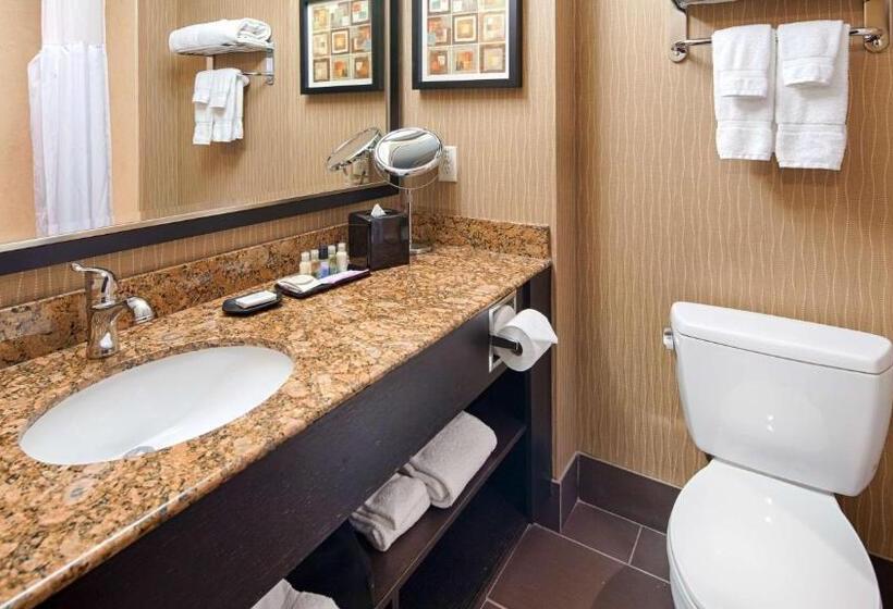 身障者適用キングサイズベッドルーム, Best Western Premier Freeport Inn Calgary Airport