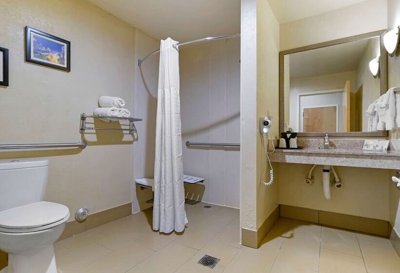 장애인을 위한 스위트, Comfort Suites Fultondale I65 Near I22