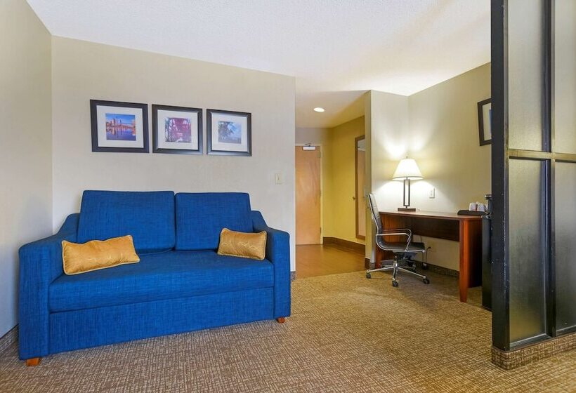 장애인을 위한 스위트, Comfort Suites Fultondale I65 Near I22