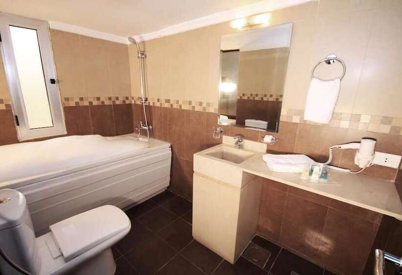 اتاق استاندارد با چشم‌انداز شهر, Rivoli Palace