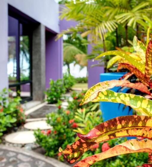 带1个卧室的别墅, Alma Del Pacifico Hotel & Spa