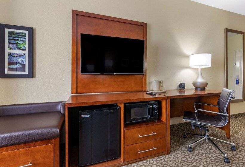 סוויטה, Comfort Suites Florence I95