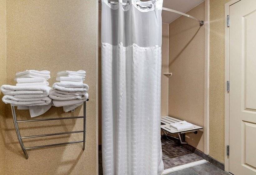 סוויטה, Comfort Suites Florence I95