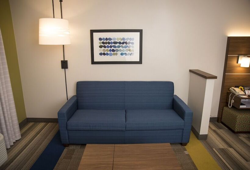 سوییت, Holiday Inn Express Hotel & Suites Lexington Downtown University, An Ihg