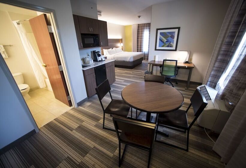 سوییت, Holiday Inn Express Hotel & Suites Lexington Downtown University, An Ihg