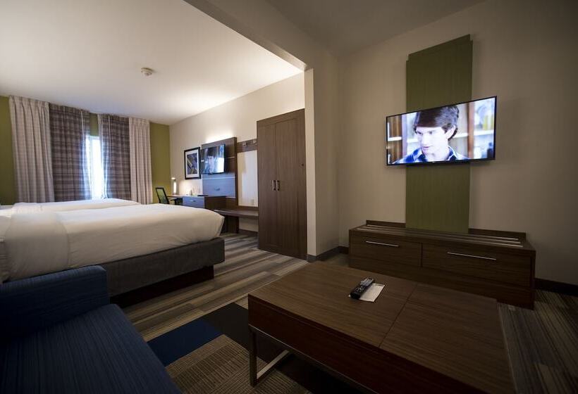 سوییت, Holiday Inn Express Hotel & Suites Lexington Downtown University, An Ihg