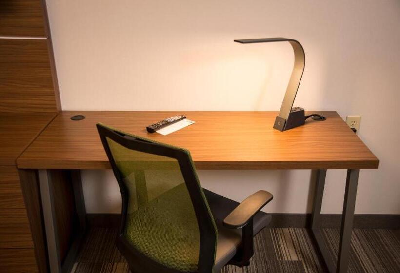 اتاق استاندارد, Holiday Inn Express Hotel & Suites Lexington Downtown University, An Ihg