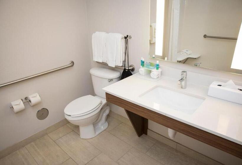 اتاق استاندارد با تخت بزرگ, Holiday Inn Express Hotel & Suites Lexington Downtown University, An Ihg