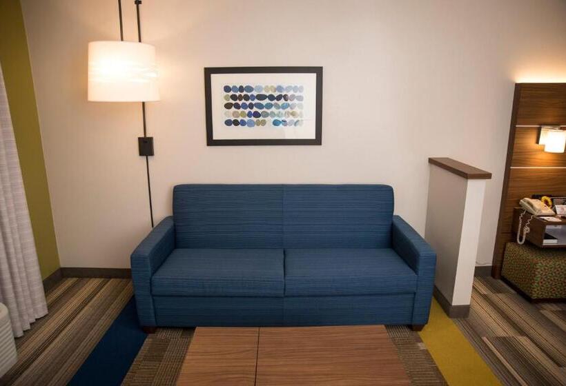 سوئیت با تخت بزرگ, Holiday Inn Express Hotel & Suites Lexington Downtown University, An Ihg