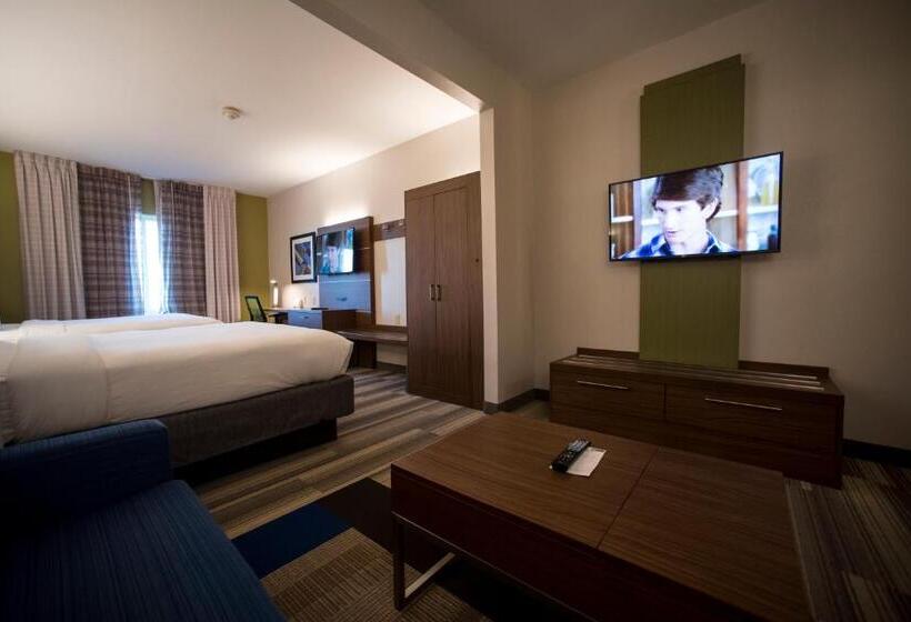 سوییت, Holiday Inn Express Hotel & Suites Lexington Downtown University, An Ihg
